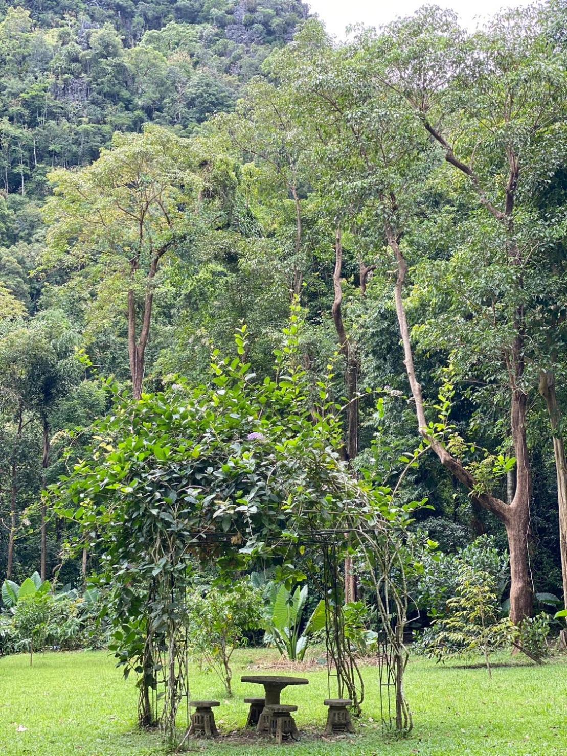 Khao Sok Nature Resort Khao Sok National Park Exterior photo